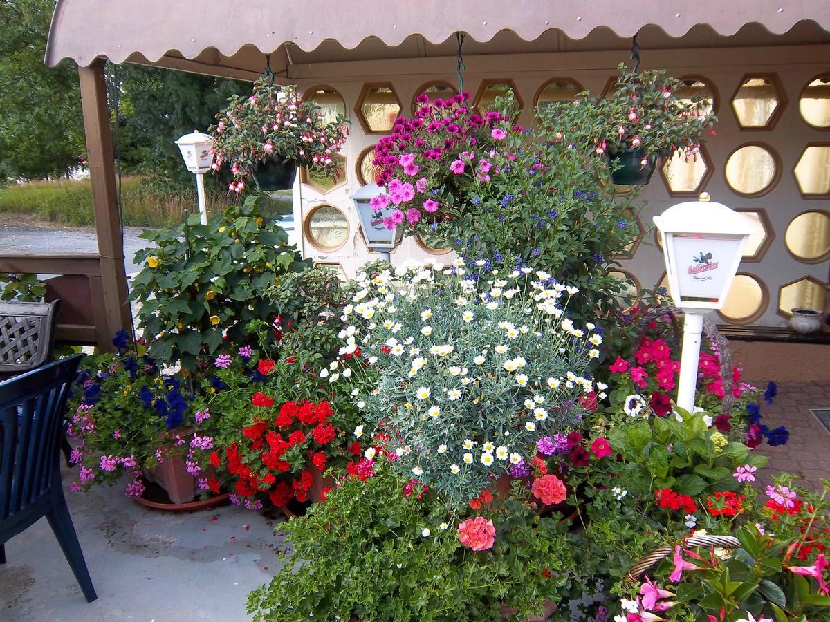 Hotel & Pension Assmann Hochkirch المظهر الخارجي الصورة