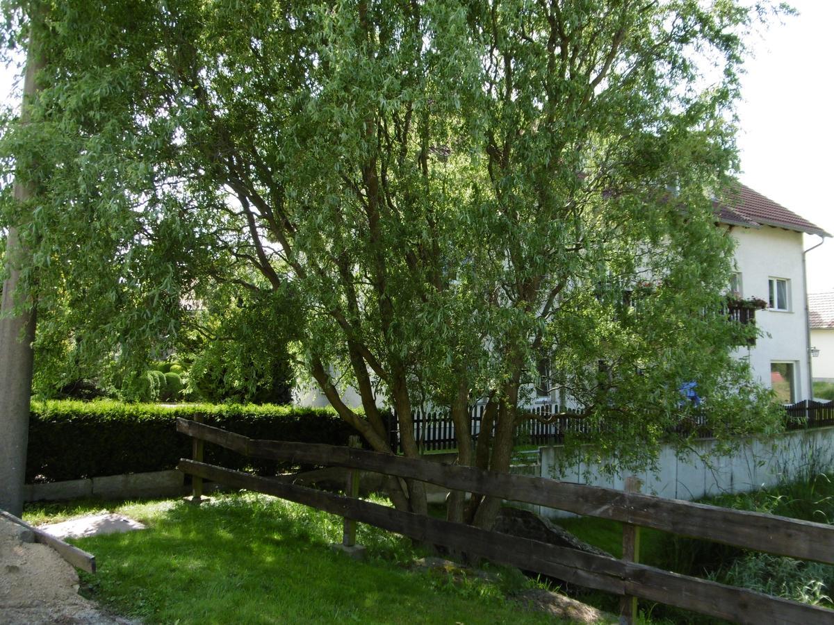 Hotel & Pension Assmann Hochkirch المظهر الخارجي الصورة