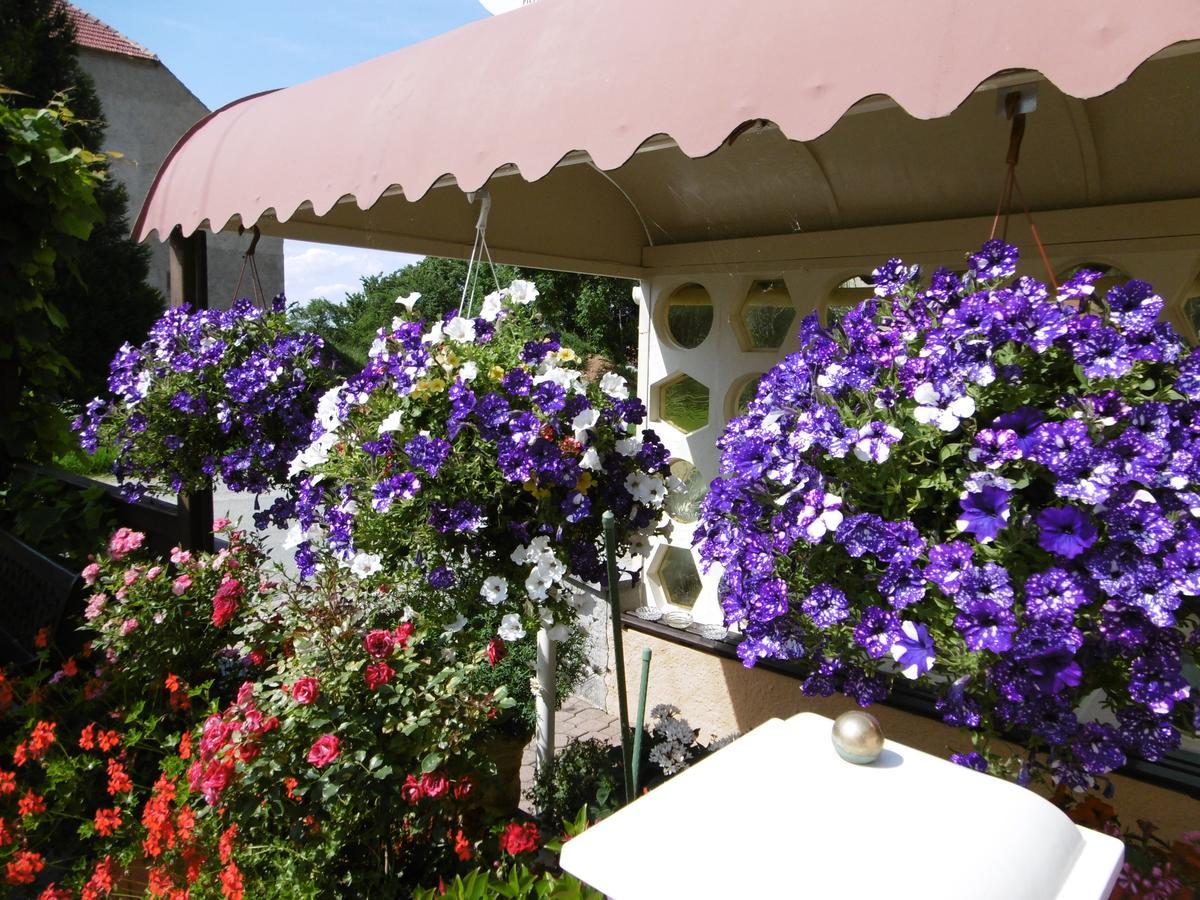 Hotel & Pension Assmann Hochkirch المظهر الخارجي الصورة