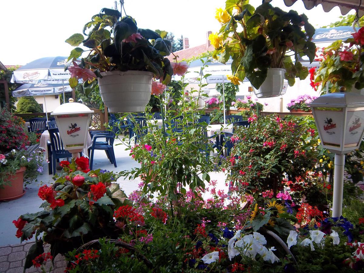 Hotel & Pension Assmann Hochkirch المظهر الخارجي الصورة